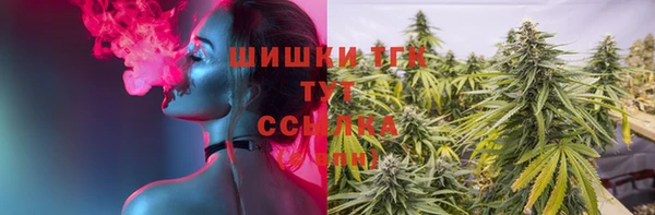 spice Балабаново